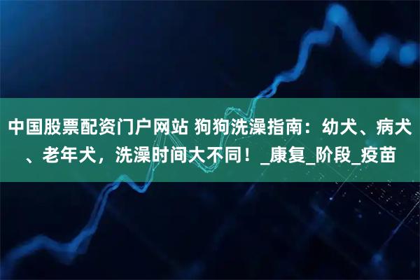 中国股票配资门户网站 狗狗洗澡指南：幼犬、病犬、老年犬，洗澡时间大不同！_康复_阶段_疫苗