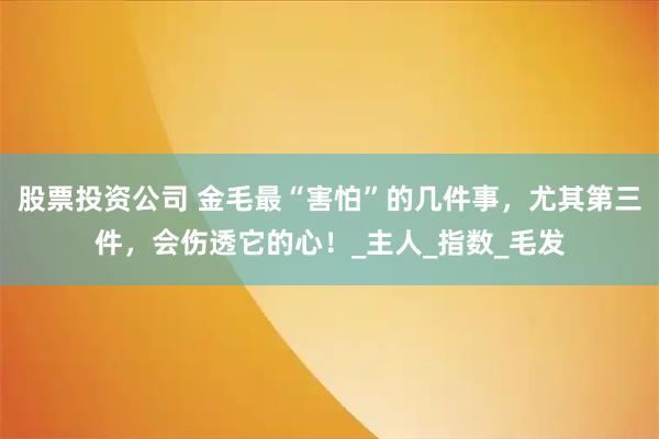 股票投资公司 金毛最“害怕”的几件事，尤其第三件，会伤透它的心！_主人_指数_毛发