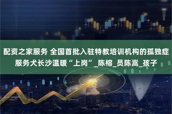 配资之家服务 全国首批入驻特教培训机构的孤独症服务犬长沙温暖“上岗”_陈榕_员陈嵩_孩子