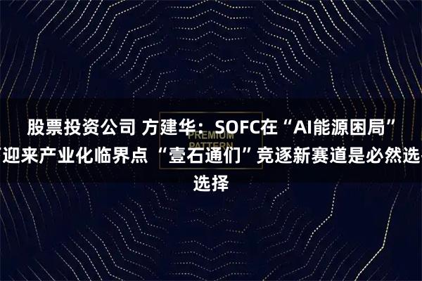 股票投资公司 方建华：SOFC在“AI能源困局”下迎来产业化临界点 “壹石通们”竞逐新赛道是必然选择