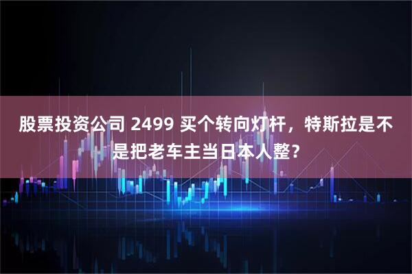 股票投资公司 2499 买个转向灯杆，特斯拉是不是把老车主当日本人整？