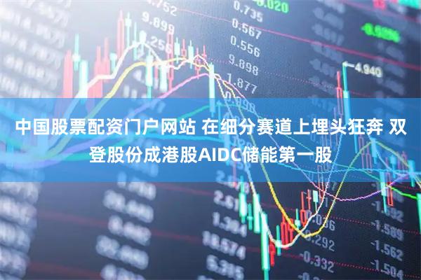中国股票配资门户网站 在细分赛道上埋头狂奔 双登股份成港股AIDC储能第一股