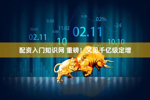 配资入门知识网 重磅！又见千亿级定增