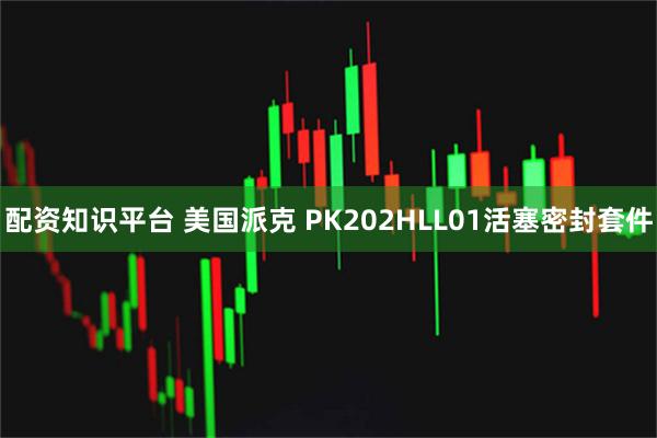 配资知识平台 美国派克 PK202HLL01活塞密封套件
