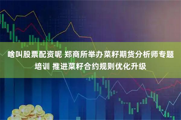 啥叫股票配资呢 郑商所举办菜籽期货分析师专题培训 推进菜籽合约规则优化升级